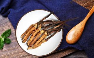 冬蟲(chóng)夏草有何藥用價(jià)值，蟲(chóng)草有啥子作用