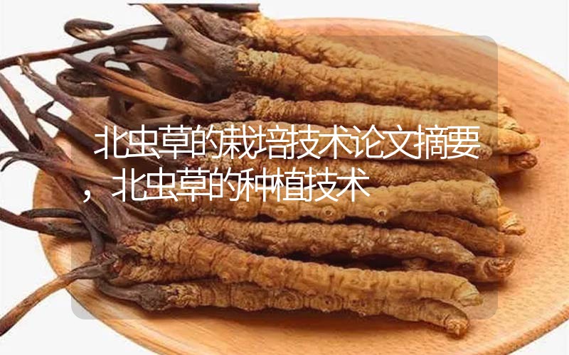 北蟲草的栽培技術論文摘要，北蟲草的種植技術