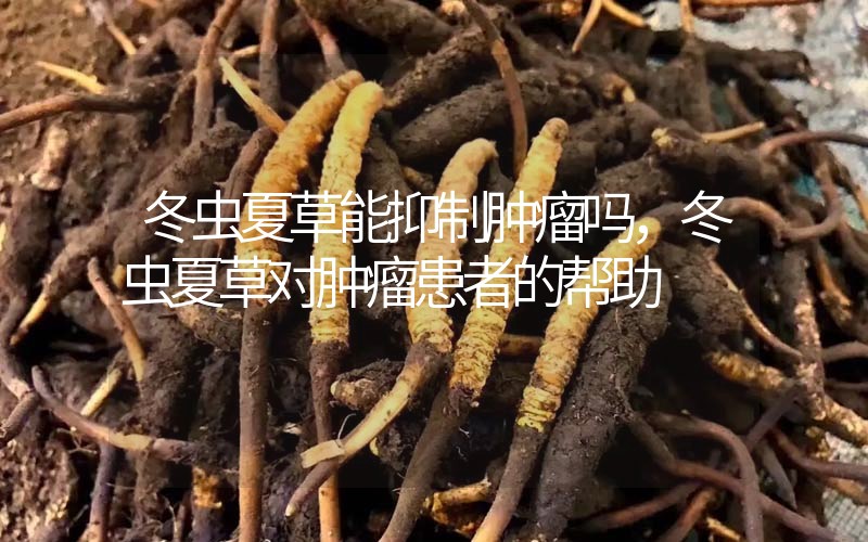 冬蟲夏草能抑制腫瘤嗎？冬蟲夏草對(duì)腫瘤患者的幫助