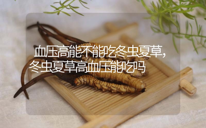 血壓高能不能吃冬蟲夏草，冬蟲夏草高血壓能吃嗎？