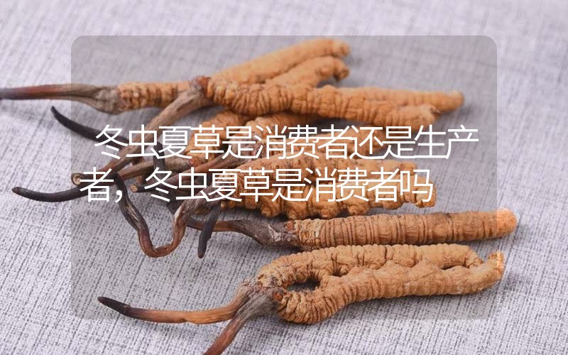 貧血吃冬蟲夏草有效果嗎，貧血虛弱者可以用冬蟲夏草嗎？