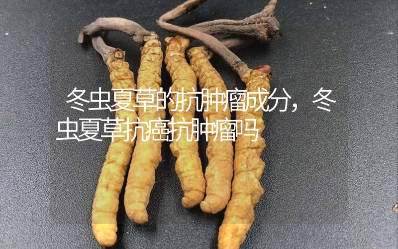 冬蟲夏草的抗腫瘤成分，冬蟲夏草抗癌抗腫瘤嗎？