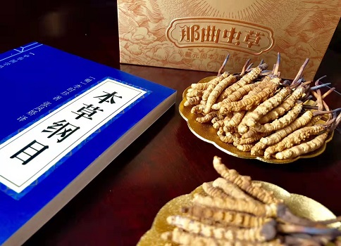 冬蟲夏草真就那么好嗎？它的主要功能是什么呀