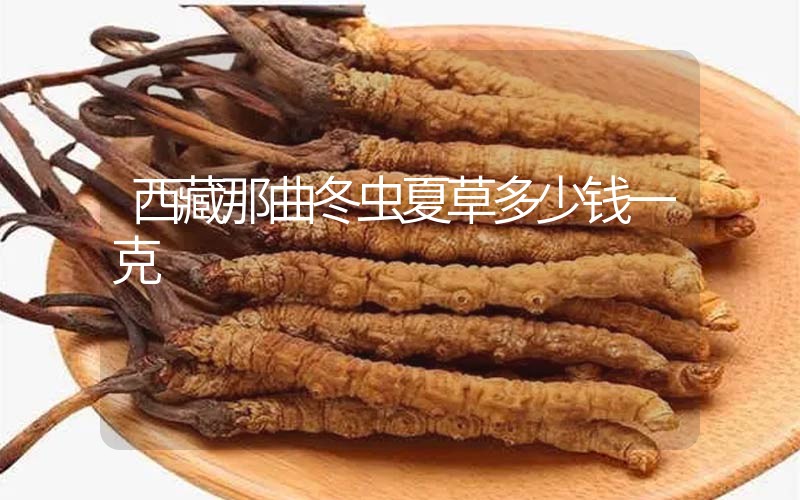 西藏那曲冬蟲夏草多少錢一克？