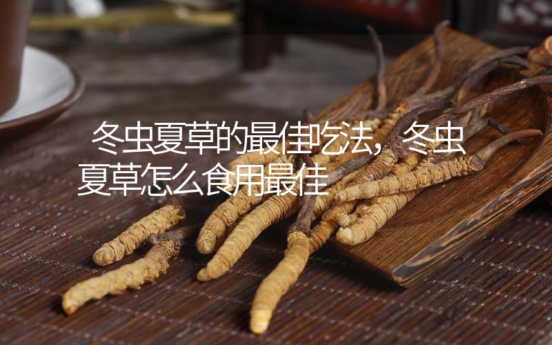 冬蟲(chóng)夏草的最佳吃法，冬蟲(chóng)夏草怎么食用最佳