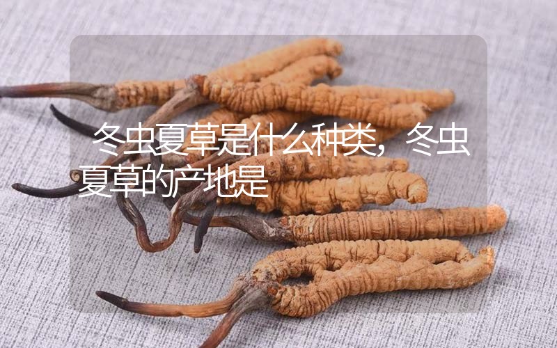 冬蟲夏草是什么種類，冬蟲夏草的產(chǎn)地是
