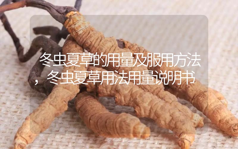 冬蟲(chóng)夏草的用量及服用方法，冬蟲(chóng)夏草用法用量