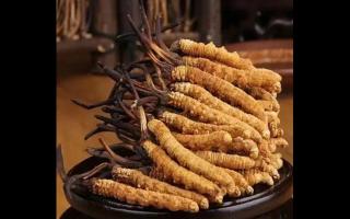 為什么藏民手里的蟲草比網(wǎng)上貴？