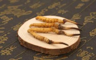 冬蟲夏草有保質(zhì)期嗎？