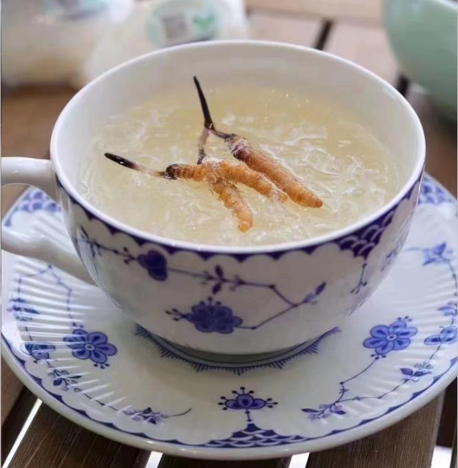 養(yǎng)生小竅門：冬蟲夏草燉什么好喝？