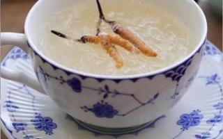 冬蟲夏草燉燕窩怎么做？