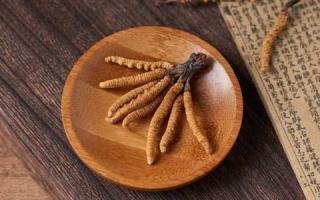 冬蟲(chóng)夏草可以和蘑菇一起吃嗎？
