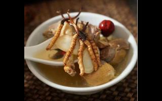 冬蟲(chóng)夏草的烹飪技巧與食用方法！