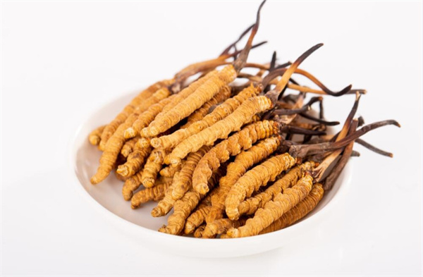 冬蟲(chóng)夏草和夾脊魚(yú)搭配怎么吃？