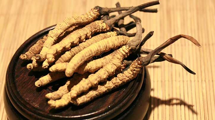 冬蟲夏草的價(jià)格一克：為何如此昂貴？