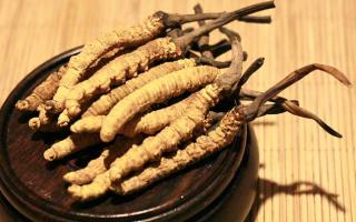 冬蟲夏草的價(jià)格一克：為何如此昂貴？