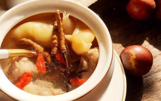 冬蟲夏草與什么泡水喝？養(yǎng)生搭配指南
