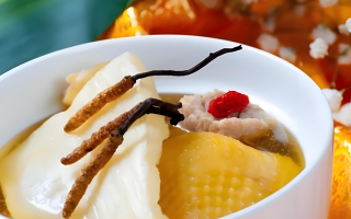 冬蟲(chóng)夏草每天什么時(shí)候吃最好？一文詳解最佳食用時(shí)間