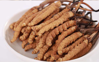 冬蟲(chóng)夏草燉水鴨，搭配這些食材更滋補(bǔ)
