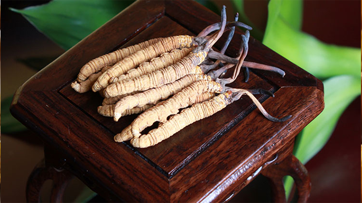 新鮮<a href=http://m.yananski.com/jiage/ target=_blank class=infotextkey>冬蟲(chóng)夏草的價(jià)格</a>一根