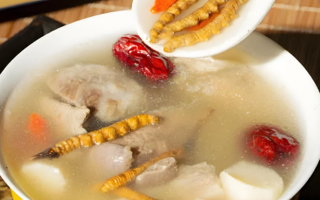 冬蟲夏草做湯一次用多少