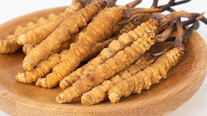 在西藏，冬蟲夏草真的觸手可得？