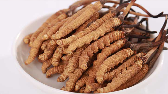 認清假冬蟲夏草：常見類型、鑒別方法與避坑指南