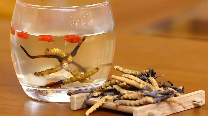 冬蟲(chóng)夏草與枸杞能一起泡酒嗎?科學(xué)搭配與飲用指南