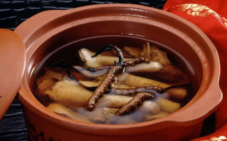 糖尿病可服用冬蟲夏草嗎？科學解析其調(diào)理價值與注意事項