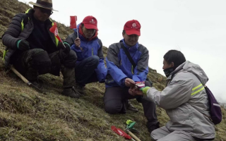 冬蟲夏草：把握最佳采摘季，守護自然饋贈
