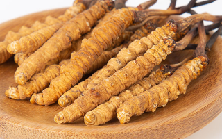 冬蟲夏草，真有那么大效果？