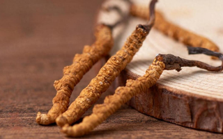 純野生冬蟲夏草價格剖析：多因素交織下的價值體現(xiàn)