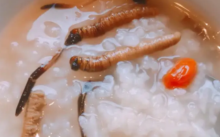 冬蟲夏草適合哪些人群？精準(zhǔn)匹配與禁忌提醒