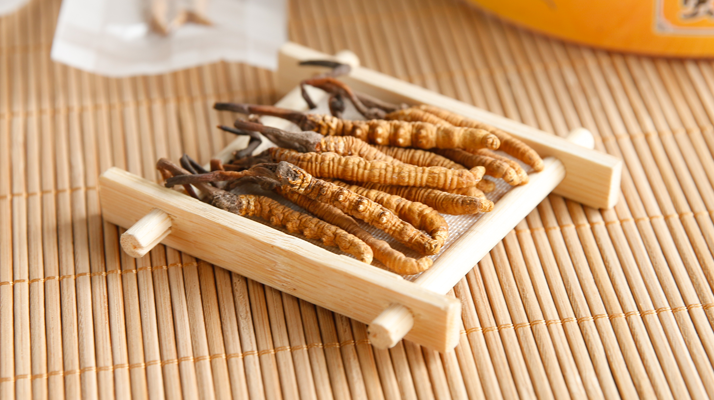 冬蟲夏草老鴨湯怎么燉？鮮香滋補(bǔ)的詳細(xì)做法與技巧