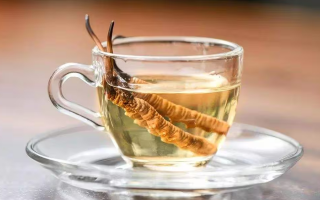 一瓶酒泡多少冬蟲夏草？科學(xué)搭配有講究