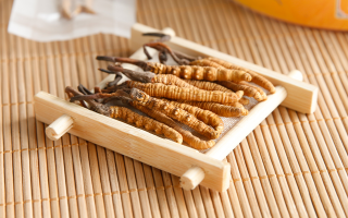  冬蟲夏草效果好不好用？看適用場景與人群，理性看待才不踩坑