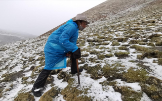 西藏挖冬蟲夏草在什么時候？產(chǎn)區(qū)與時間全攻略