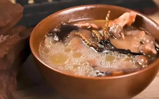 冬蟲夏草治什么病效果好？厘清輔助調(diào)理邊界與適用場景