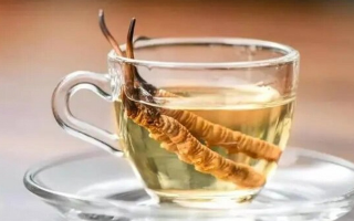 十根冬蟲夏草泡多少酒？科學(xué)配比與實(shí)操指南