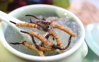 十根冬蟲夏草能泡幾斤酒？泡酒比例與細(xì)節(jié)指南