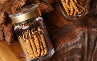 鮮冬蟲夏草泡水后怎么保存？3 種場景保存方法 + 避坑指南