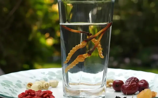 人參配蟲草泡酒，泡多久才好喝？咱跟你說實(shí)在的